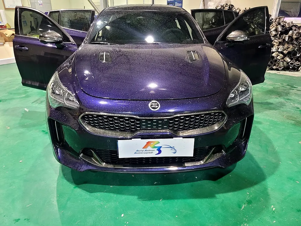 Kia Stinger Meister interior customization installation result