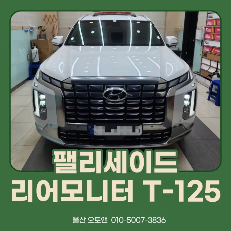 Hyundai Palisade oem options installation result