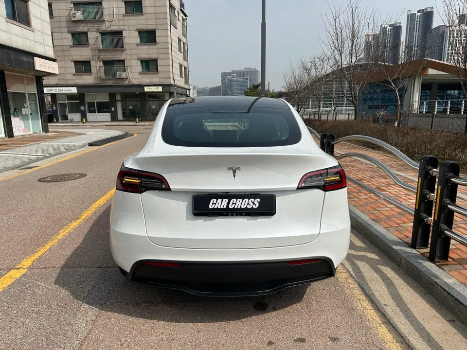 Tesla Model YのPPF施工事例｜費用目安と仕上がり 施工写真 3-1