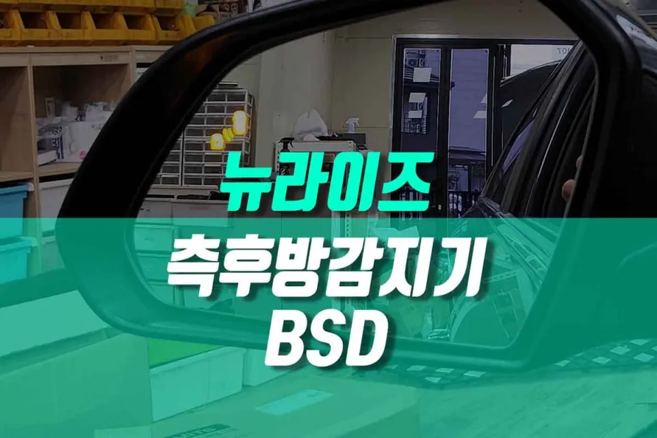 Hyundai Sonata New Rise oem options installation result