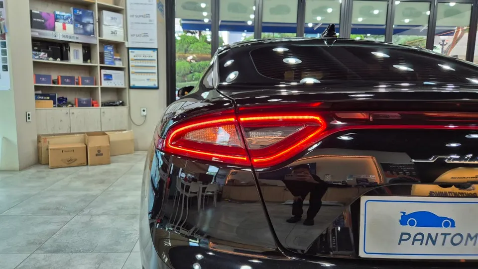 Kia Stinger lighting upgrade - Kia Stinger Lighting Upgrade Review: Cost & Results photo 4