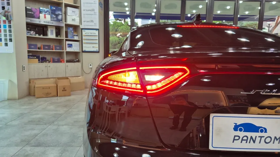 Kia Stinger lighting upgrade - Kia Stinger Lighting Upgrade Review: Cost & Results photo 5
