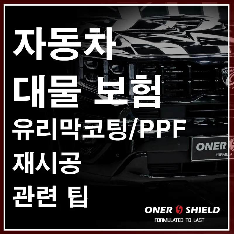 Kia Mohave The Master ppf installation result