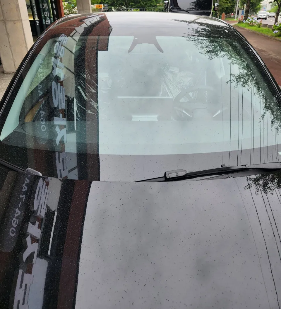 Tesla Model Y PPF施工事例|費用目安と仕上がり 施工写真 3-1