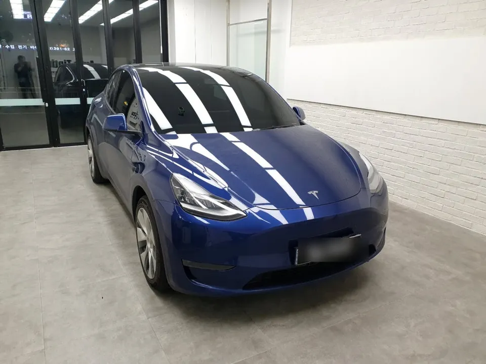 Tesla Model Y ppf review