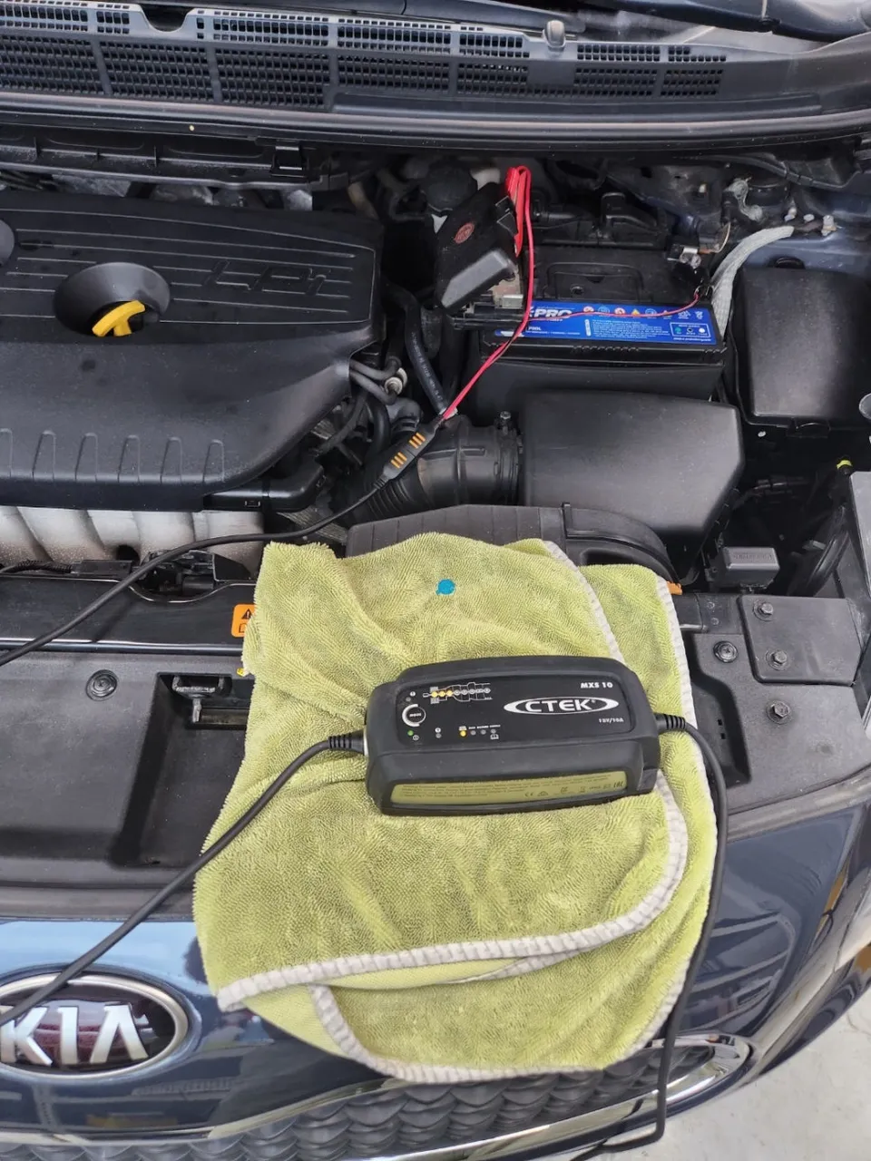 Hyundai Elantra PPF施工事例｜費用目安と仕上がり 施工写真 2-2