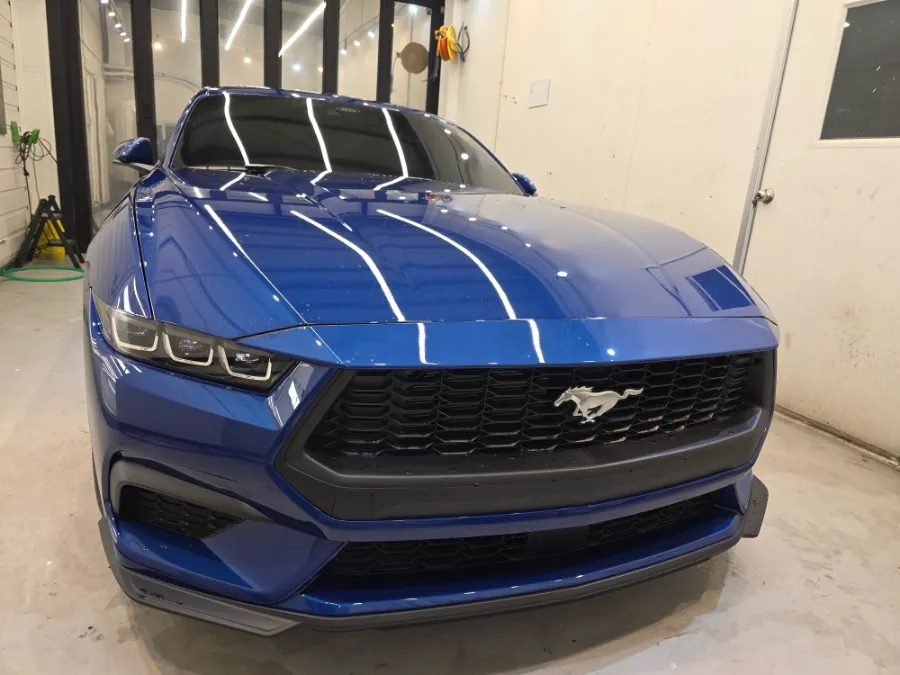 Ford Mustang PPF施工事例｜韓国での実例と費用目安 写真