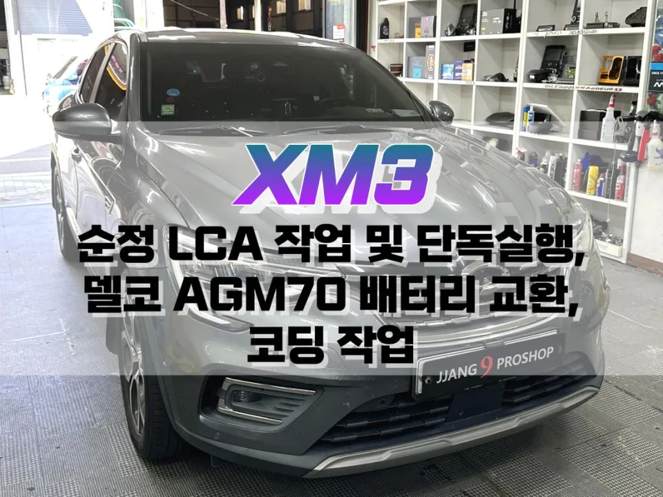 Renault Korea XM3 OEM Options Review — Cost & Results photo 1