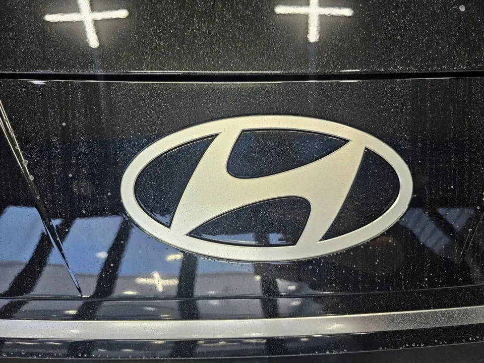Hyundai Elantra N PPF施工事例|費用目安・仕上がり 施工写真 2-2