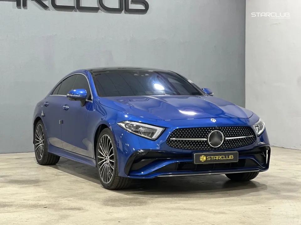 Mercedes-Benz CLS 450 body kit installation result
