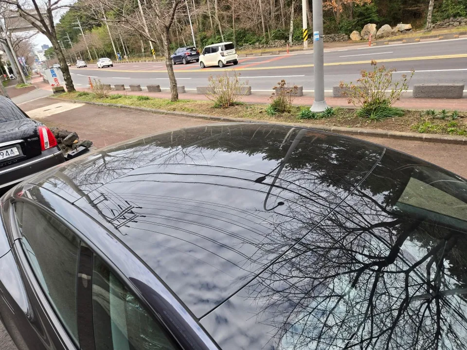 Tesla Model 3のPPF施工事例 施工写真 3