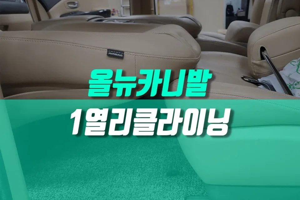 Kia Carnival 4th Gen interior customization review