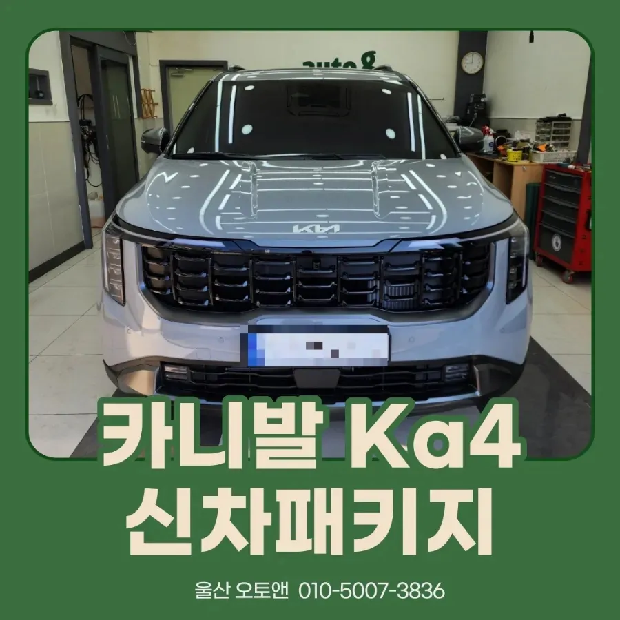 Kia Carnival new car package installation result