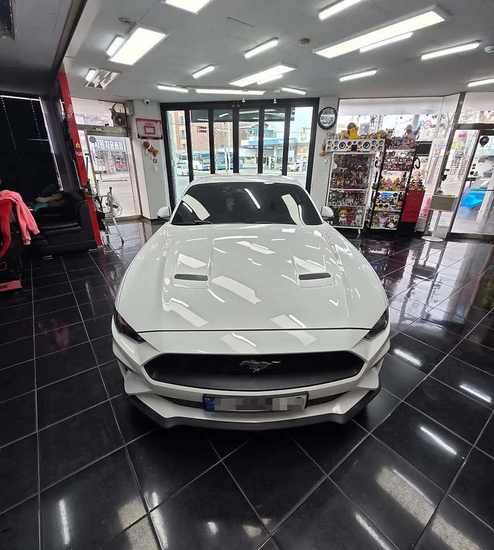 Ford Mustangのカーラッピング事例｜費用目安・仕上がり 施工写真 2-1