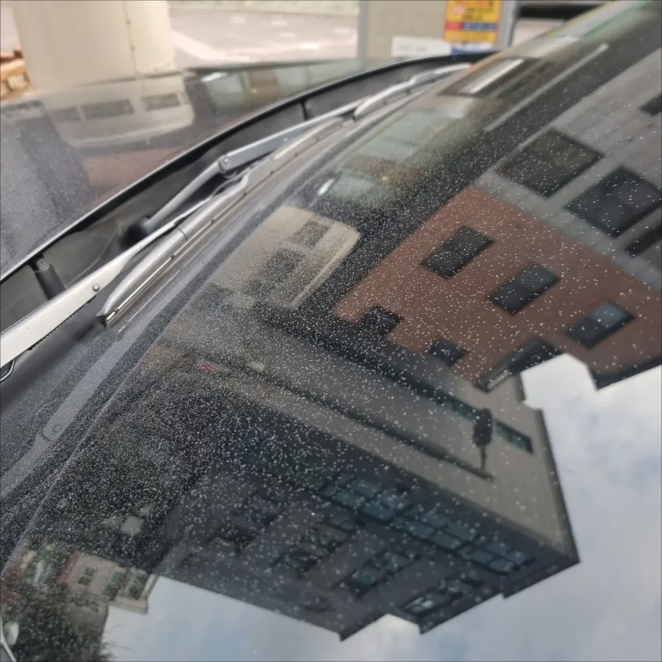 Kia K7 ceramic coating - Kia K7 Ceramic Coating Review: Cost & Results photo 4
