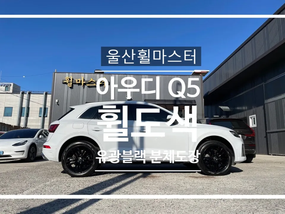Audi Q5 Wheel Repair & Gloss Black Painting Review