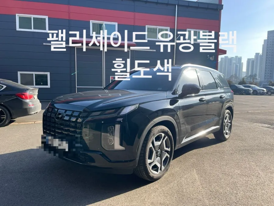 Hyundai Palisade wheel repair installation result