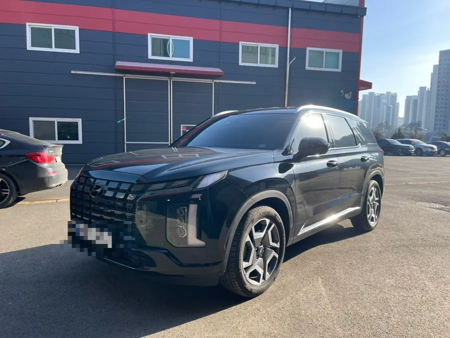 Hyundai Palisade Wheel Repair & Painting Review photo 3