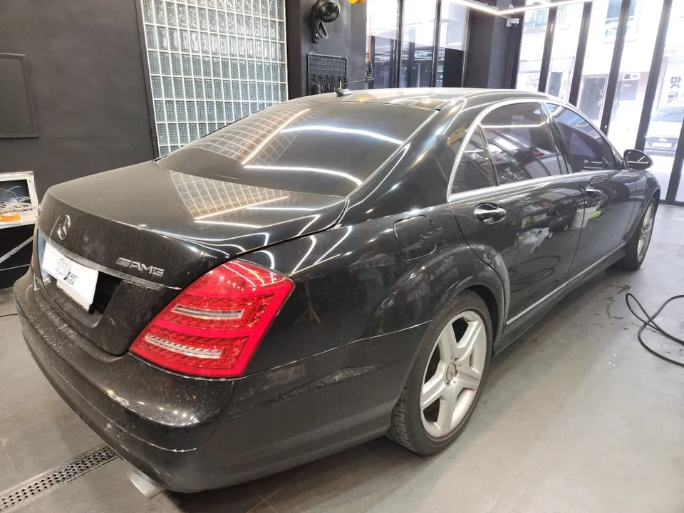 Mercedes-Benz S-Class ceramic coating - Mercedes-Benz S-Class Ceramic Coating Review — Bird Dropping Dama photo 2