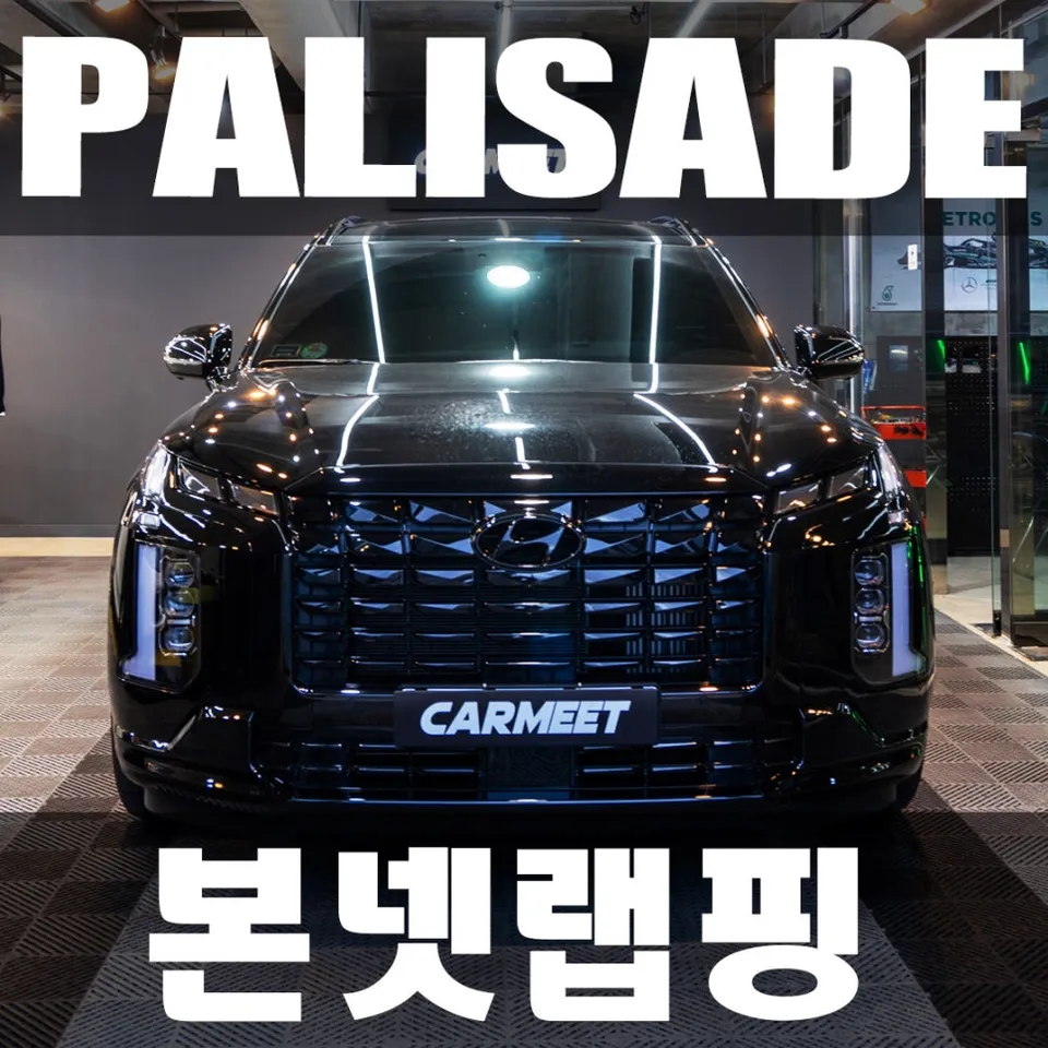 Kia Palisade vinyl wrap installation result
