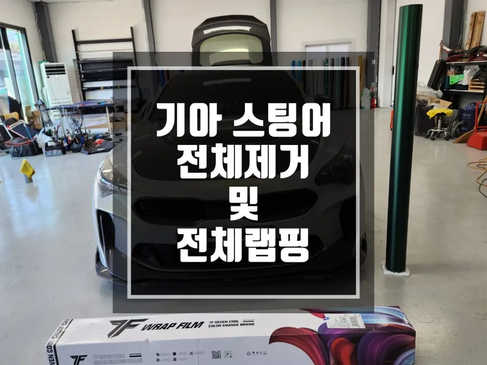 Kia Stinger vinyl wrap installation result