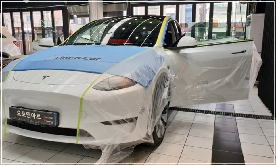 Tesla Model Y ppf - Tesla Model Y PPF Review — Protection & Pricing photo 4