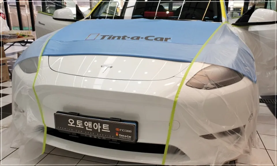 Tesla Model Y ppf - Tesla Model Y PPF Review — Protection & Pricing photo 5