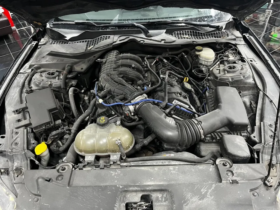 Ford Mustangのカーラッピング事例|アッシュグレーで高級感UP 施工写真 4-2