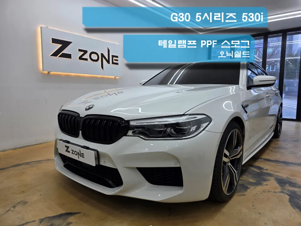 BMW 5 Series G30 ppf installation result