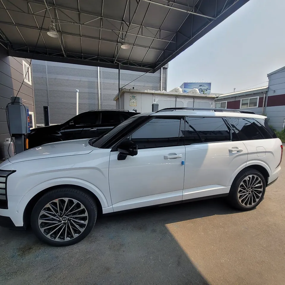 Hyundai Palisade wheel repair installation result