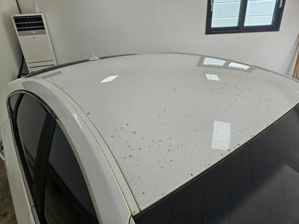 Hyundai Azeraのカーフィルム施工事例｜費用目安・仕上がり 施工写真 1-1