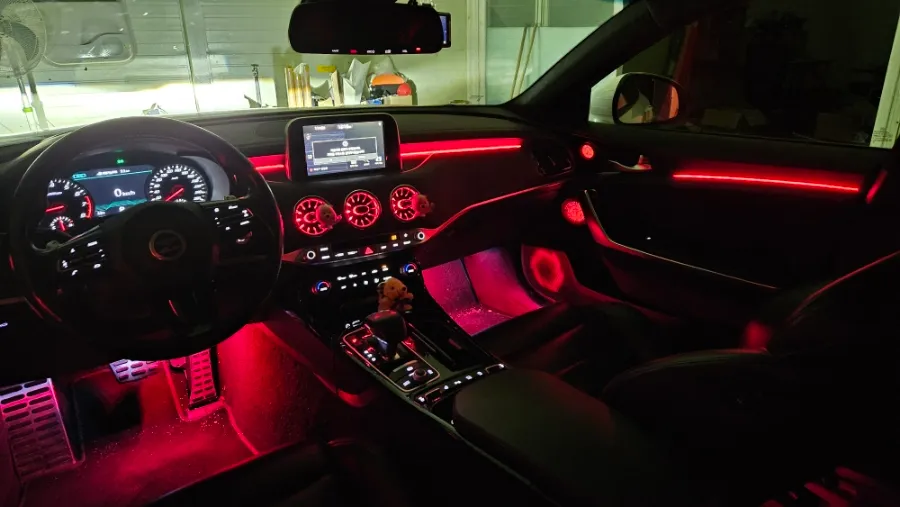 Kia Stinger ambient lighting - Kia Stinger Ambient Lighting Review: Cost & Results photo 3