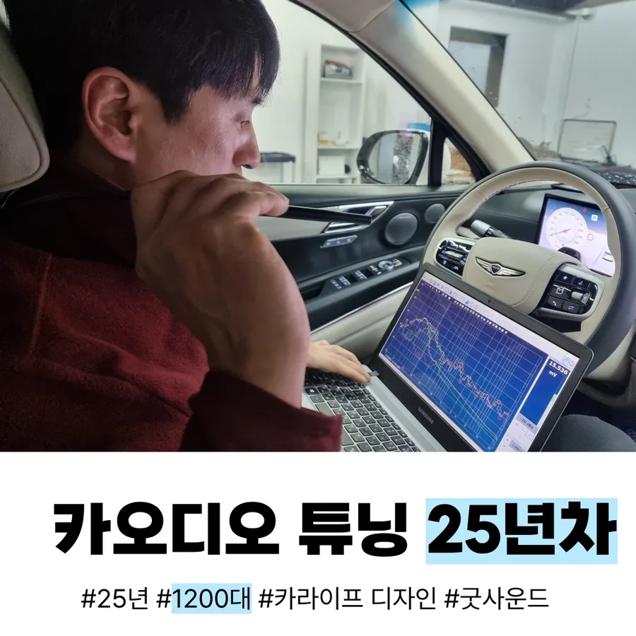 Kia Santa Fe TM surround view camera installation result