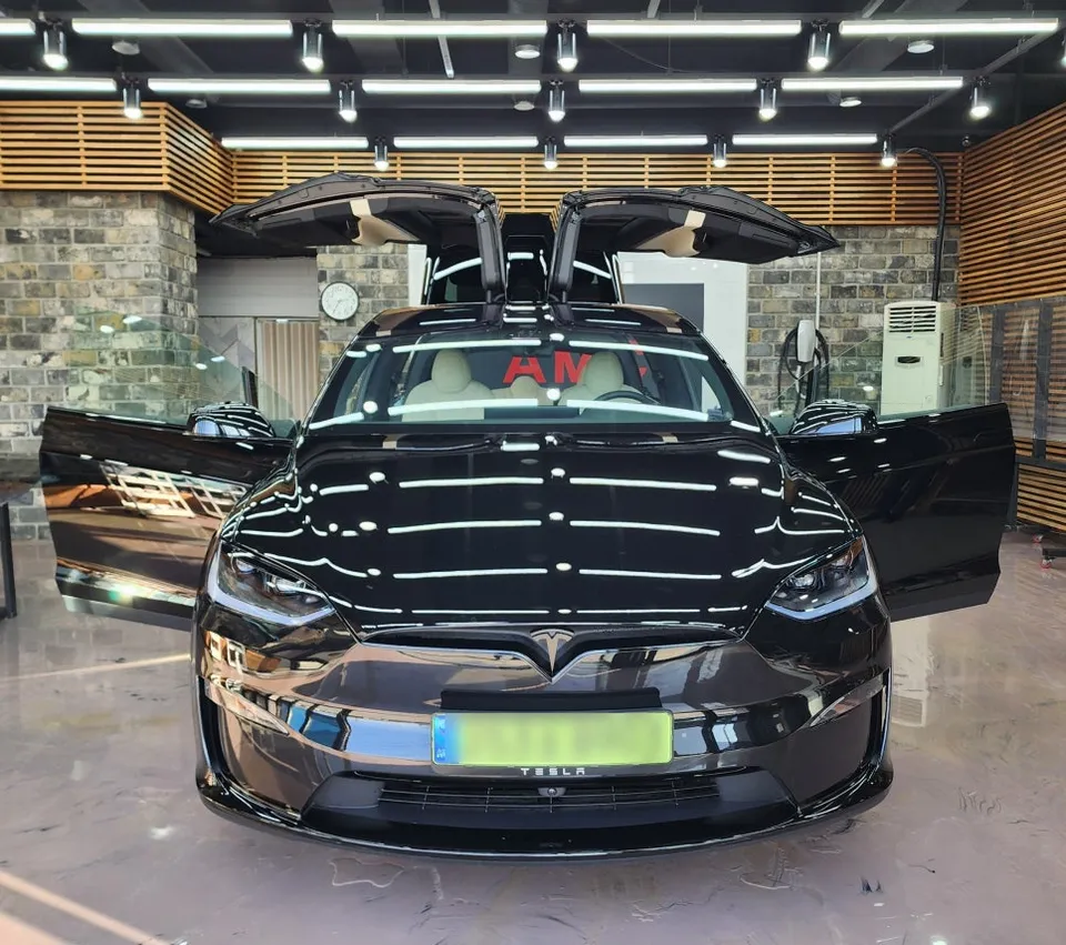 Tesla Model X PPF Review: Xpel XR Plus Protection