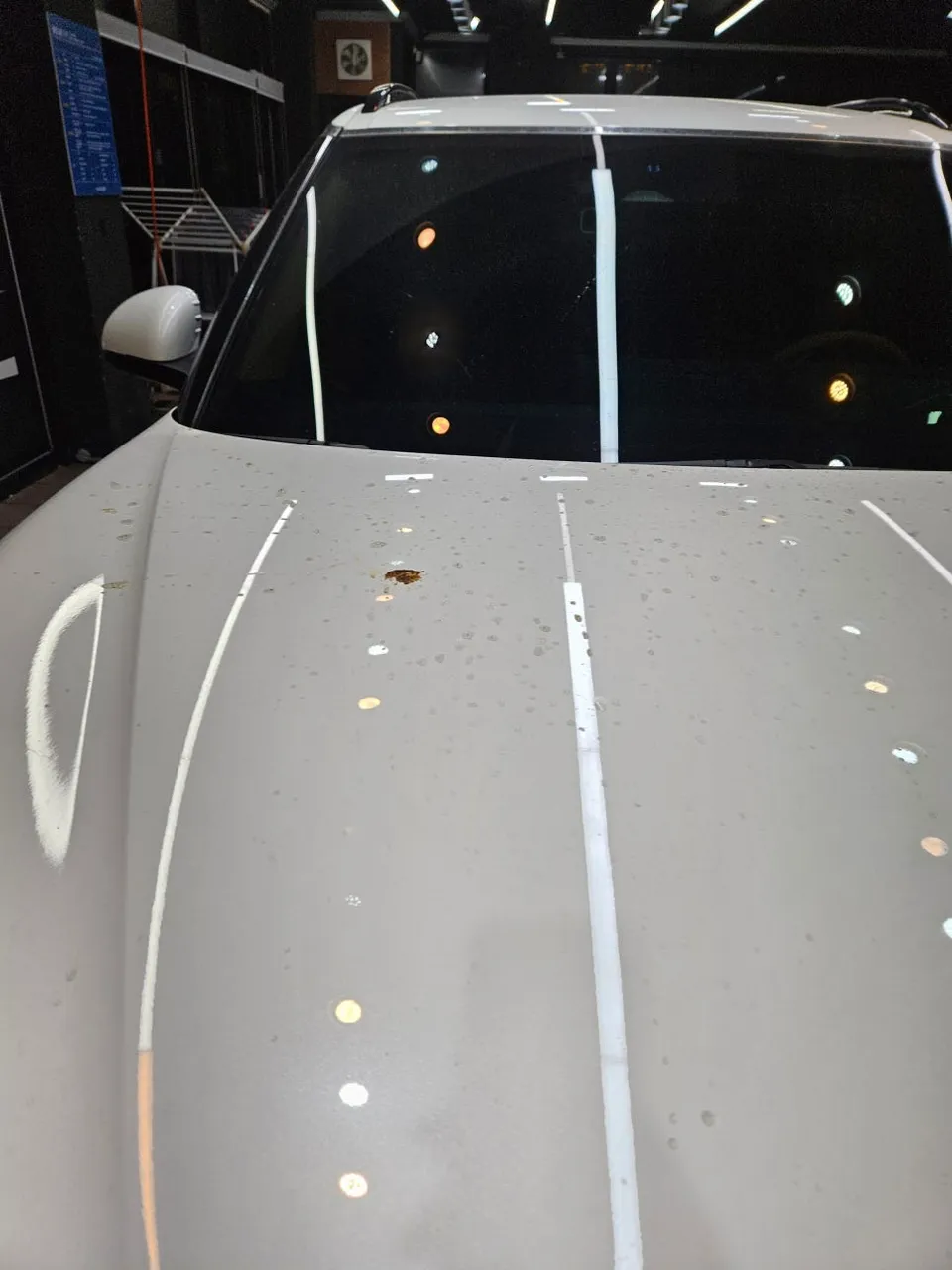Genesis GV60 ceramic coating - Genesis GV60 Ceramic Coating Review — Enhanced Protection photo 6
