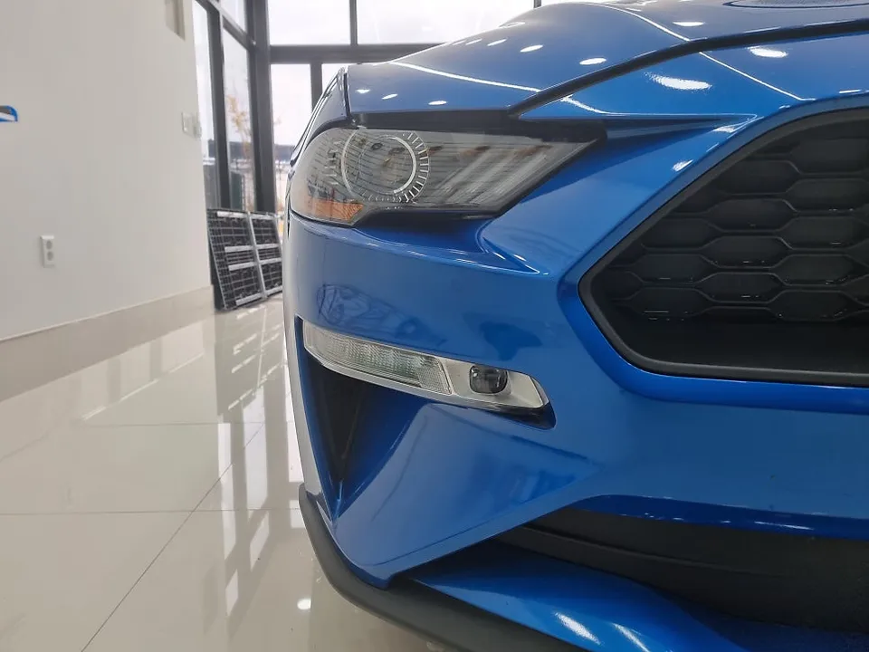 Ford Mustangのカーラッピング事例｜費用目安・仕上がり 施工写真 3-1