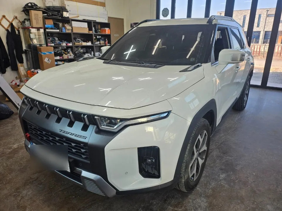 SsangYong Torres OEM Options Review: Cost & Results photo 2