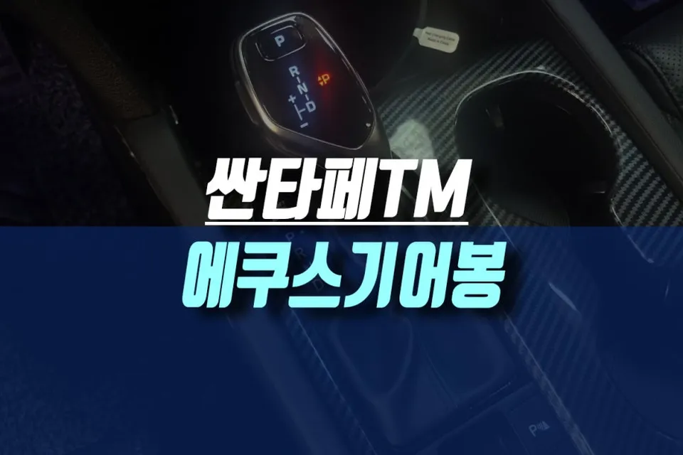 Hyundai Santa Fe TM steering wheel review