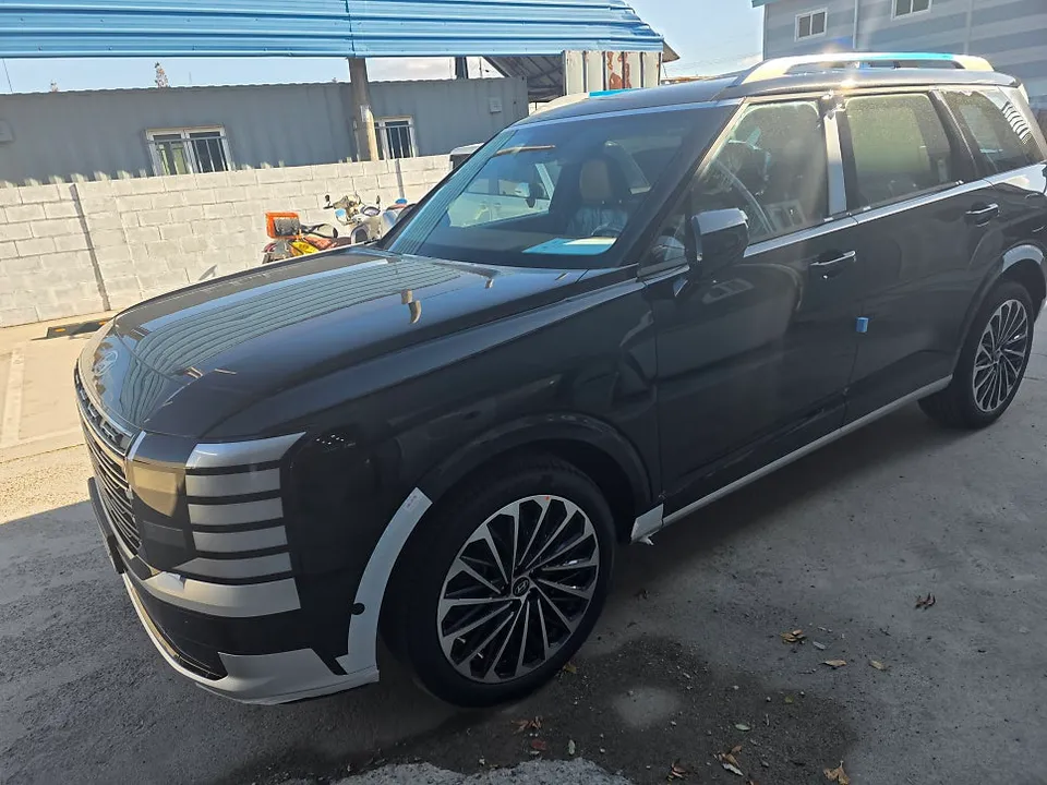 Hyundai Palisade new car package - Hyundai Palisade New Car Package Review — Enhanced Protection & S photo 5
