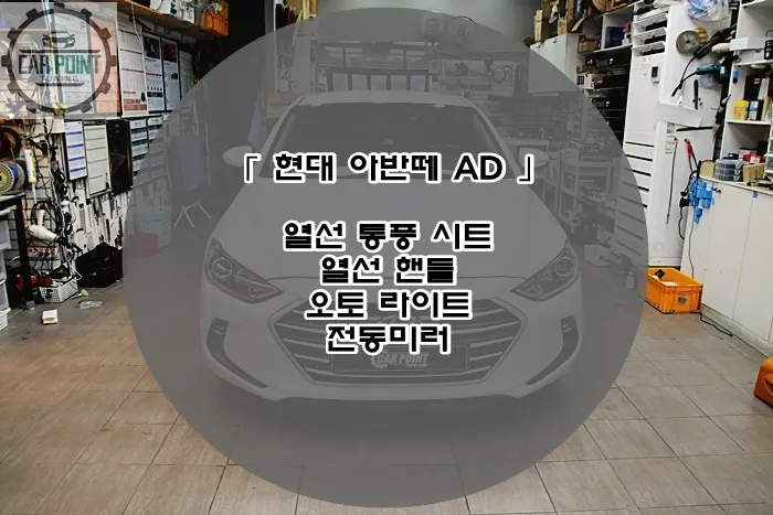 Hyundai Elantra AD oem options installation result