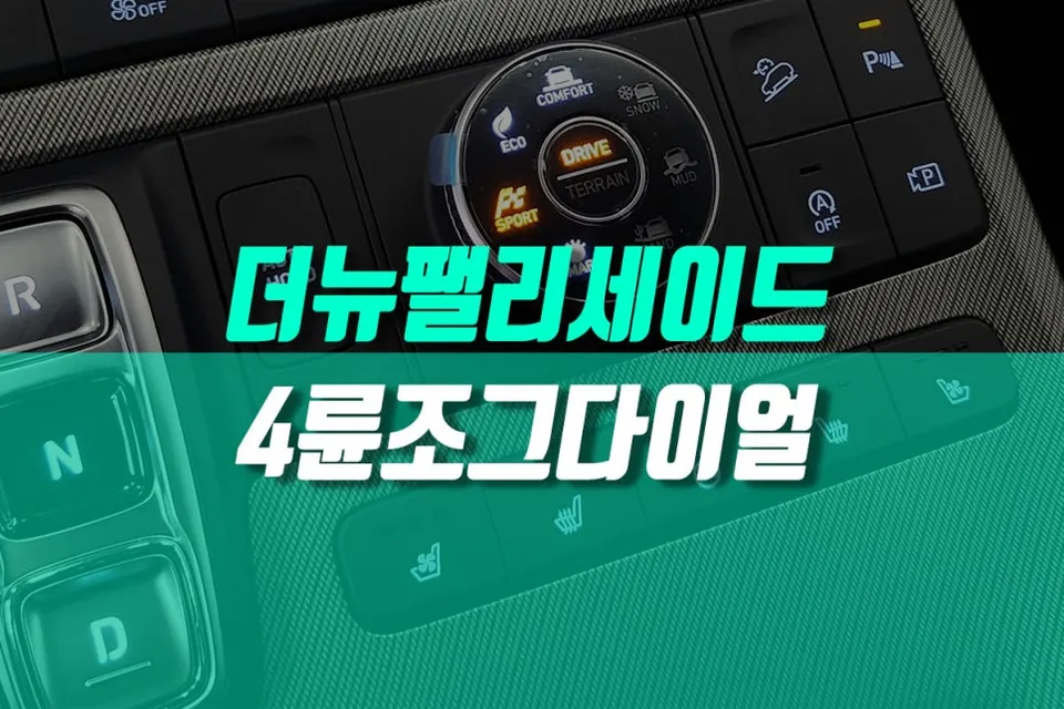 Hyundai Palisade oem options installation result