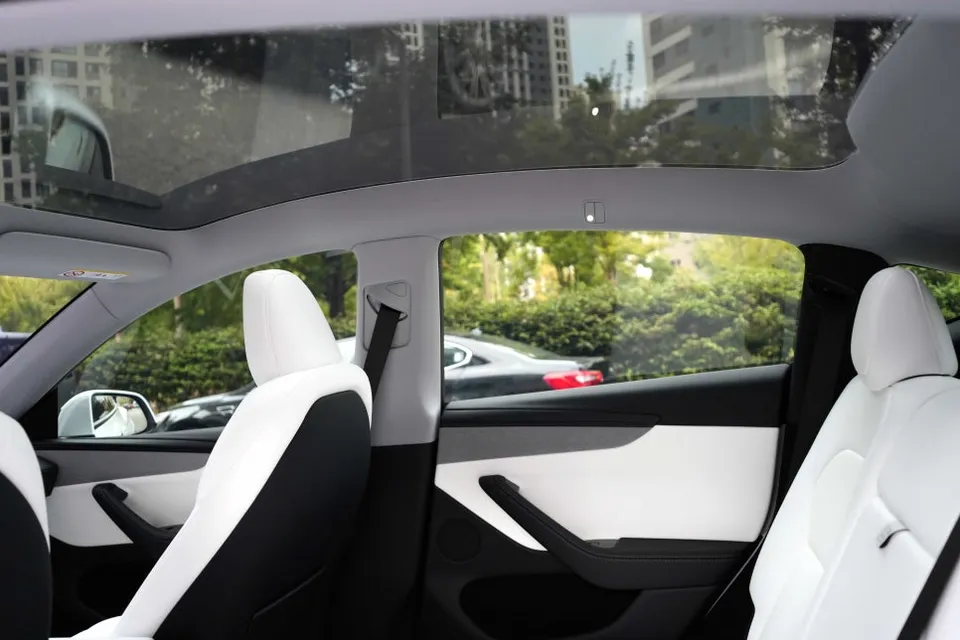 Tesla Model Y Juniper steering wheel - Tesla Model Y Juniper Steering Wheel Customization Review photo 3
