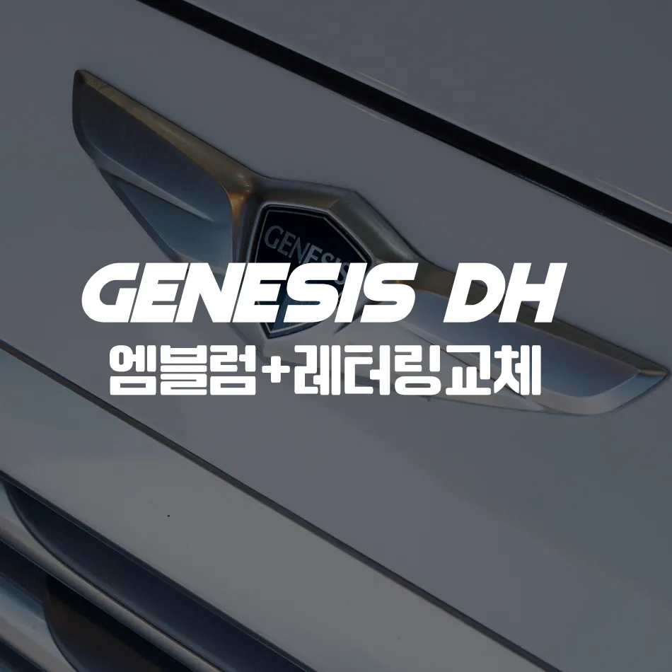 Genesis DH car accessories installation result