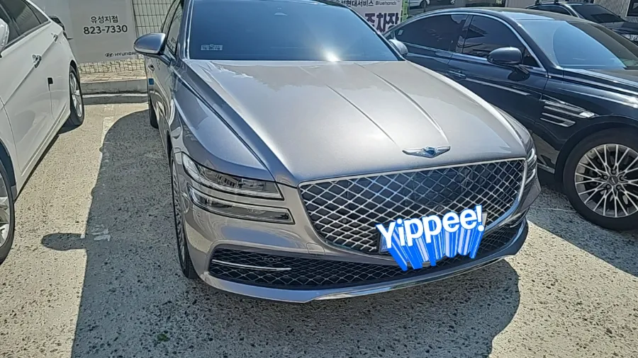 Genesis G80 body repair installation result