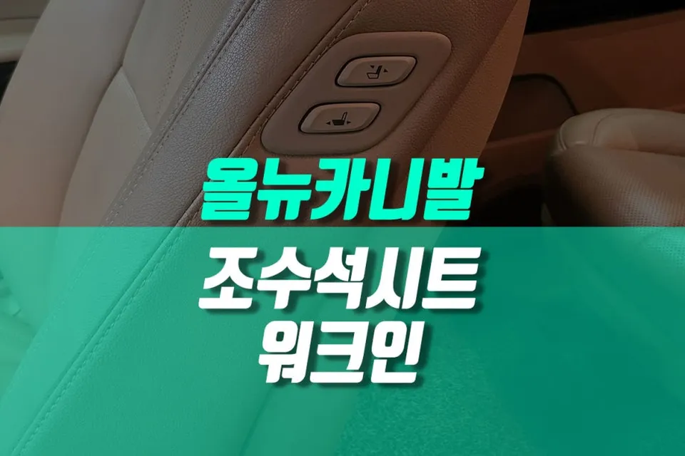 Kia All New Carnival oem options installation result