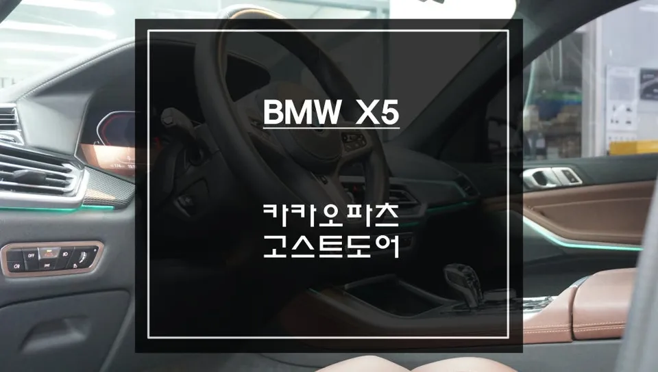 BMW X5 oem options installation result