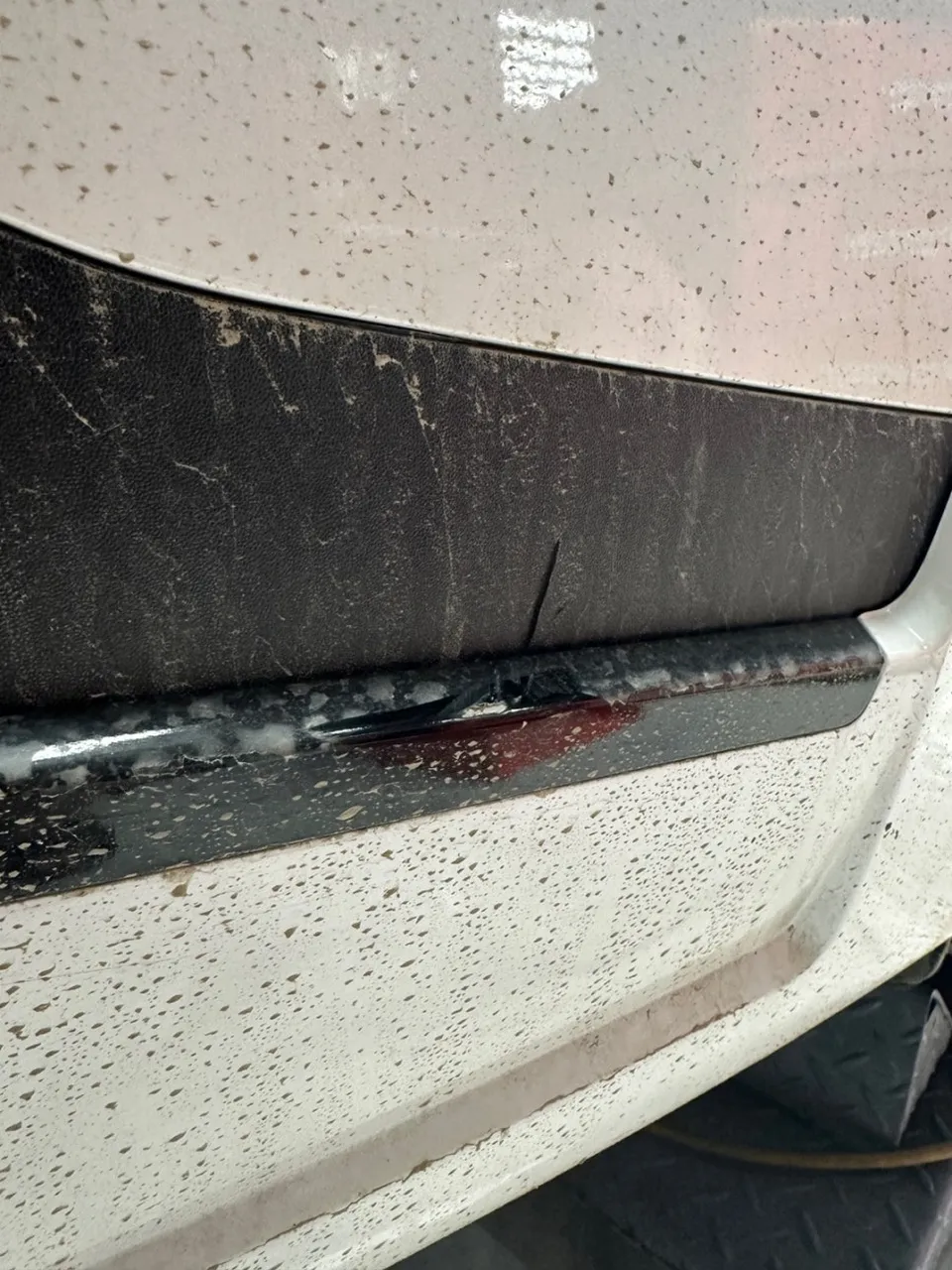 Kia Carnival 4th Genのカーラッピング事例 施工写真 1-2