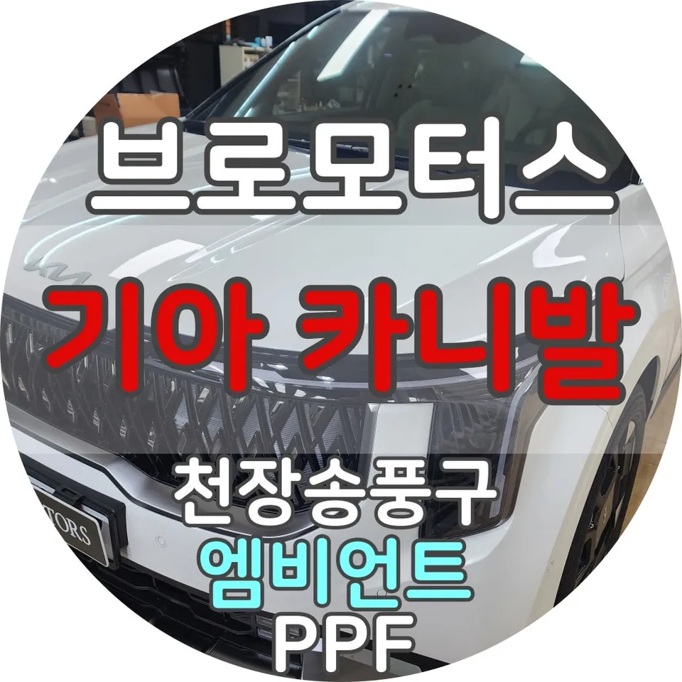 Kia Carnival ambient lighting installation result