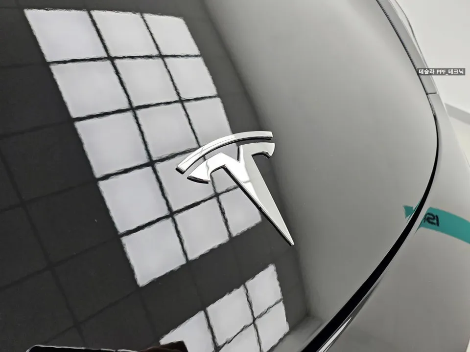 Tesla TeslaのブラックPPF施工事例|費用目安・仕上がり 施工写真 3-3