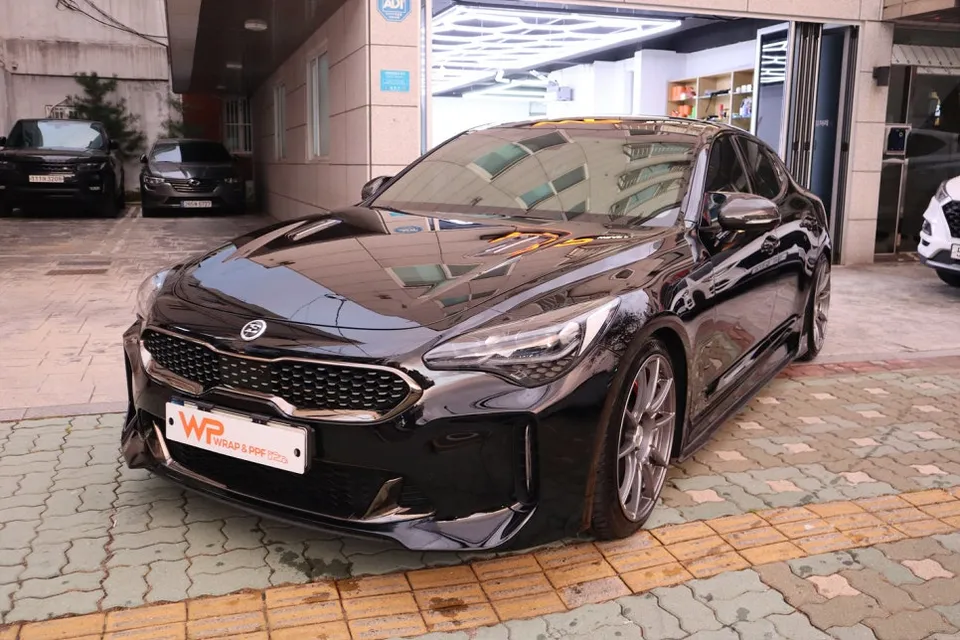 Kia StingerのPPF施工事例|費用目安と仕上がり 施工写真 2-1